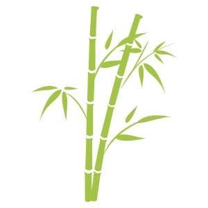 bambú