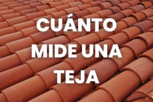 cuánto mide una teja